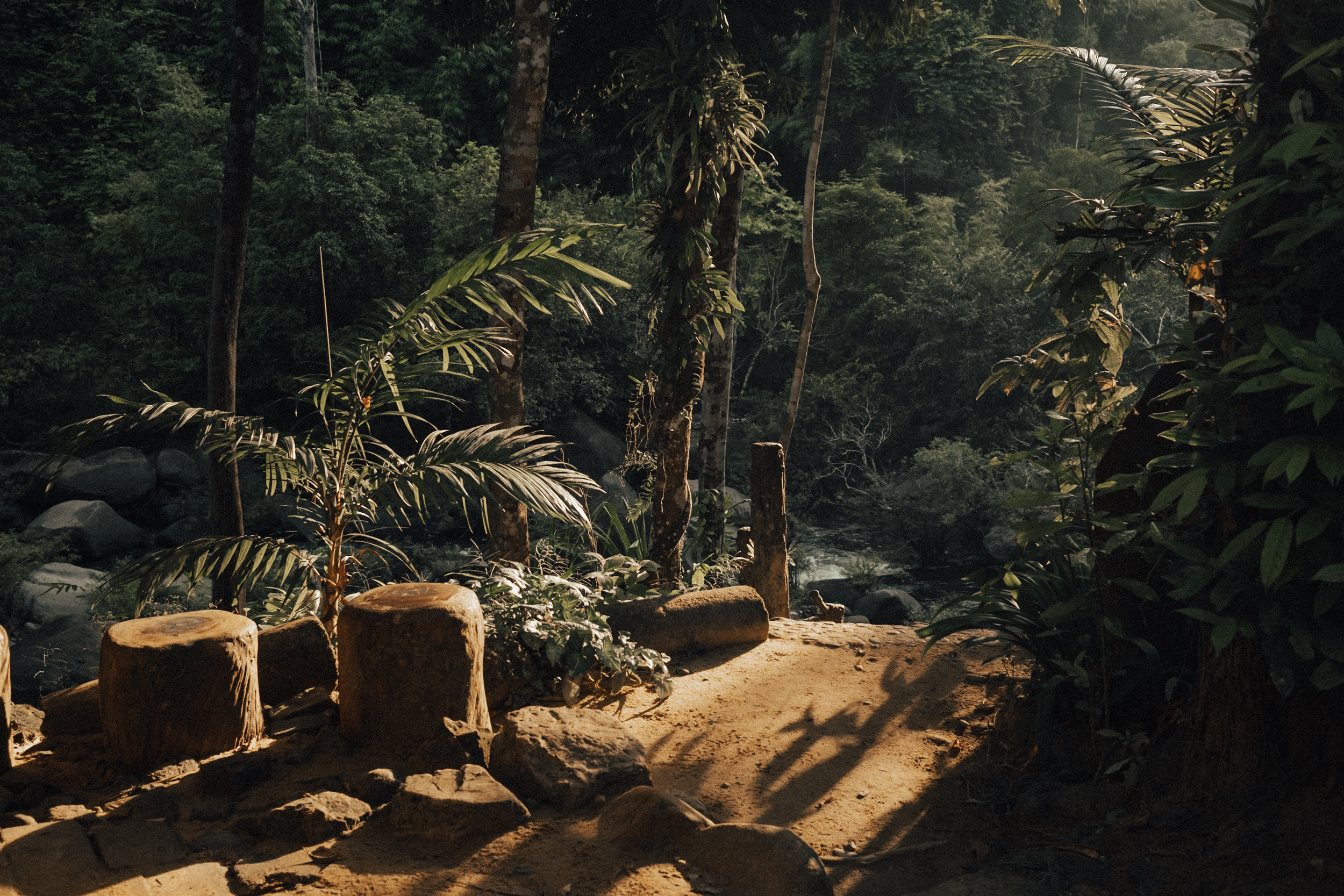Thailand - A trip to the jungle